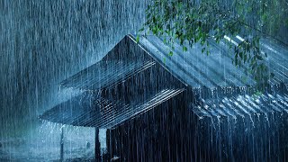 Put YOU to Sleep Instantly with Heavy Rain on Metal Roof amp Thunder Sounds  Relaxing White Noise [upl. by Nedearb]