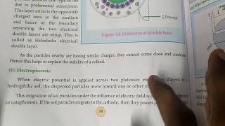 Electrophoresis and electro osmosis12th chemistrysurface chemistry in தமிழ் 🙂 [upl. by Nawk706]