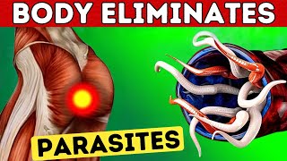 Your Body Will Expel Dead Parasites with This Natural Remedy in Water  95 of People Are Unaware [upl. by Llemrej]