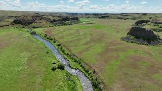 ESCURE RANCH Washington  Spring May 2022 [upl. by Cele483]