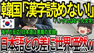 【海外の反応】韓国「漢字読めない！」日本語との差に世界唖然w 【ゆっくり解説】 [upl. by Ocsic713]