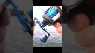 Fishing Top water Blitz Fish EXPLODING [upl. by Lucille]