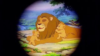 SIMBA THE KING LION  The Lion King  Full Length Episode 1  English KIDFLIX [upl. by Hannan478]