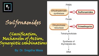 Sulfonamides  Classification Mechanism Of Action Synergistic Combinations [upl. by Aivatahs]