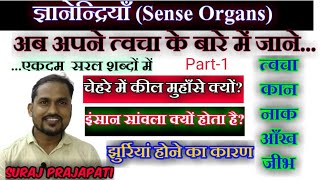 ज्ञानेंद्रियां  Sense Organs in Hindi  Skin Ear Nose Eye TongueSense Organ kya hote haiARSH GS [upl. by Catrina]