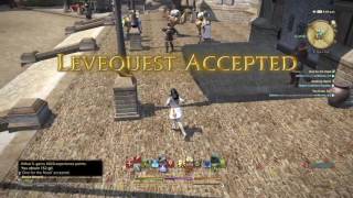 Fast 1000 levequest trophy FFXIV [upl. by Arayc]