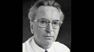 El Hombre en Busca de Sentido  La Vida y Enseñanzas de Viktor Frankl [upl. by Carmella924]