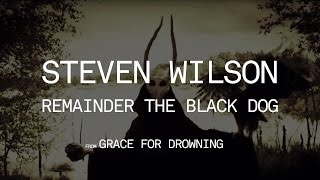 Steven Wilson  Remainder the Black Dog from Grace for Drowning [upl. by Faubion]