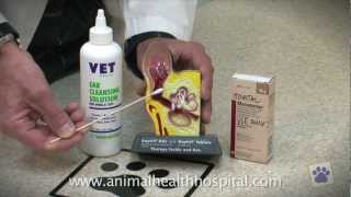 Animal Health Hospital How To Clean Your Pets Ears [upl. by Amik49]