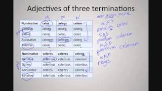 Third Declension Adjectives [upl. by Nirac]