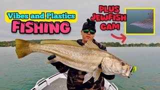 Lure fishing Lake Macquarie catching Jewfish an Flathead PLUS JEWFISH Cam [upl. by Sidman]