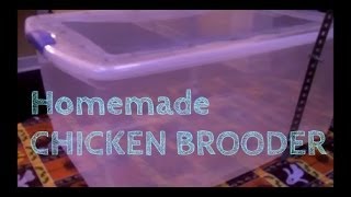 Homemade Chicken Brooder [upl. by Alyad]