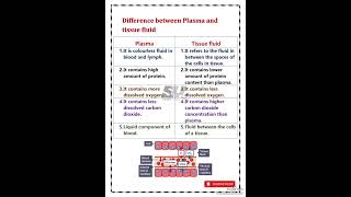 Difference between plama and tissue fluid [upl. by Welby]