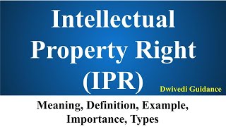 Intellectual Property Rights IPR Meaning Definition Examples Benefits of IPR UPSC NCERT Bba [upl. by Sedda]