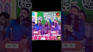 Nahi Hai Koi Duniya Mein Hamara Ya Rasool Allah Afzal Sabri Qawwal sabir qawaali zahooriasound [upl. by Llerrac]