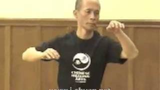 IChuan Test of Power By Sifu Gregory Fong [upl. by Corbin254]