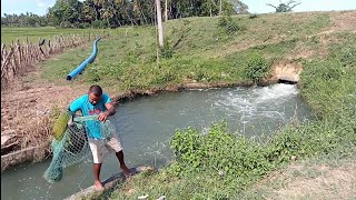 Amazing fish catching with cast net fishing 🐟🐟 [upl. by Cynthie]