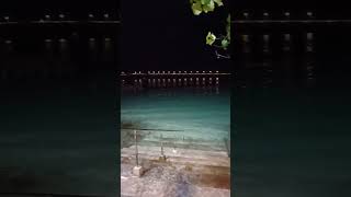 Amazingly view of seashore🏖️🏝️Night time youtubeshorts [upl. by Salkin]