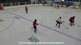 East Lambton Eagles U18B vs Lambton Shores Preds U18B Full game November 1 2024 [upl. by Yornoc570]