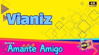 Karaokê Vianiz  Amante Amigo [upl. by Rennug]