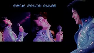 ELVIS PRESLEY  Polk Salad Annie  Elvis On Tour 1972  4K [upl. by Sito]