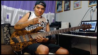 Mestizaje  SkaP Cover Bass Chuy Michaca [upl. by Critchfield]