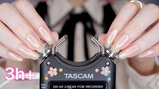 ASMR TASCAM Best Triggers for Sleep 3Hr  最高の睡眠へ誘う TASCAM 最強トリガー No Talking [upl. by Inaliak]