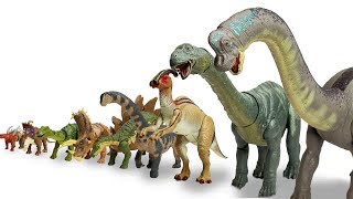 ENTIRE Herbivore Collection Big to Small  Brachiosaurus Apatosaurus Stegosaurus and More [upl. by Annoled]