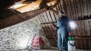 Attic Woodworm Treatment [upl. by Liliane]