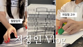 vlog  사무직 직장인 브이로그  출근하고 일하고 퇴근하는 반복 일상  회계관리팀 업무  나는야 파일철 고수 [upl. by Akila302]