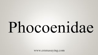 How To Say Phocoenidae [upl. by Chad]