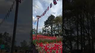 Floriade Festival 2024 Australia [upl. by Travax]