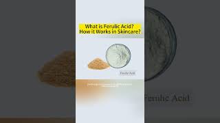 What is Ferulic Acid and How it Works in Skincare  Natural Antioxidant Ferulic Acid Manufacturer [upl. by Atteoj551]