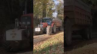 AGRICULTRICE  UN TRACTEUR MASSEY FERGUSON A CHARGE QUI PATINEagricultrice agriculture [upl. by Lisetta74]