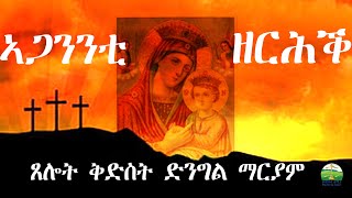 ኣጋንንቲ ዘርሕ ጸሎት ኣዴና ቅድስት ድንግል ማርያም Eritrean Orthodox Tewahdo church [upl. by Tloh]