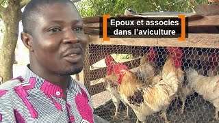 Côte dIvoire  Epoux et associés dans laviculture [upl. by Henghold]