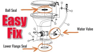 Leaking RV Toilet Repair [upl. by Baseler]