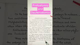 protostomia and deuterostomia zoology biology shortsfeed shorts ytshorts [upl. by Airakaz]