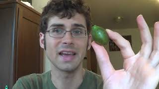 Guinep Spanish Lime or Mamoncillo Review and How to Roast its seeds Weird Fruit Explorer Ep 34 [upl. by Aceissej]