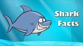 Shark Facts  Science With Kids [upl. by Kampmann]