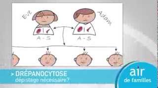 Air de Familles  Drépanocytose dépistage nécessaire [upl. by Skelly]