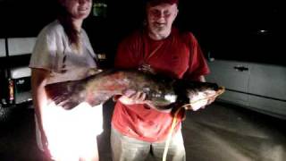 3 Foot 30 Pound BIG Catfish Caught at Stoneybrook Fishing Lake Pelzer SC [upl. by Ihel]