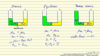 Reverse Osmosis [upl. by Hubey]