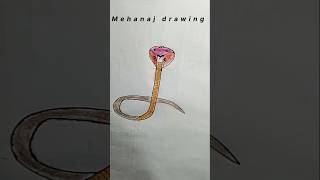 Easy snake colour pencil drawing for beginnersshorts drawing snake [upl. by Seerdi]