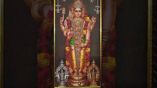 shashti vritham day1 omsaravanabhavam lordmurugan lordmuruganstatus [upl. by Navi]