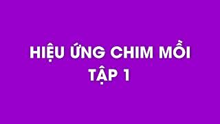 Sách nói  Tác phẩm Hiệu Ứng Chim Mồi Tập 1 [upl. by Bena]