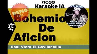 Saul Viera El Gavilancillo  Bohemio De Aficion  Karaoke [upl. by Kamp24]