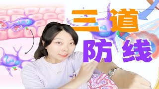 42【免疫调节】免疫系统的功能｜三道防线 三大功能《选必一》 [upl. by Michaelina]