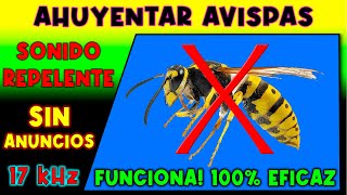 SONIDO PARA AHUYENTAR AVISPAS 🚫🐝 REPELENTE DE AVISPAS [upl. by See926]