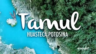 Tamul Huasteca Potosina [upl. by Stalker820]